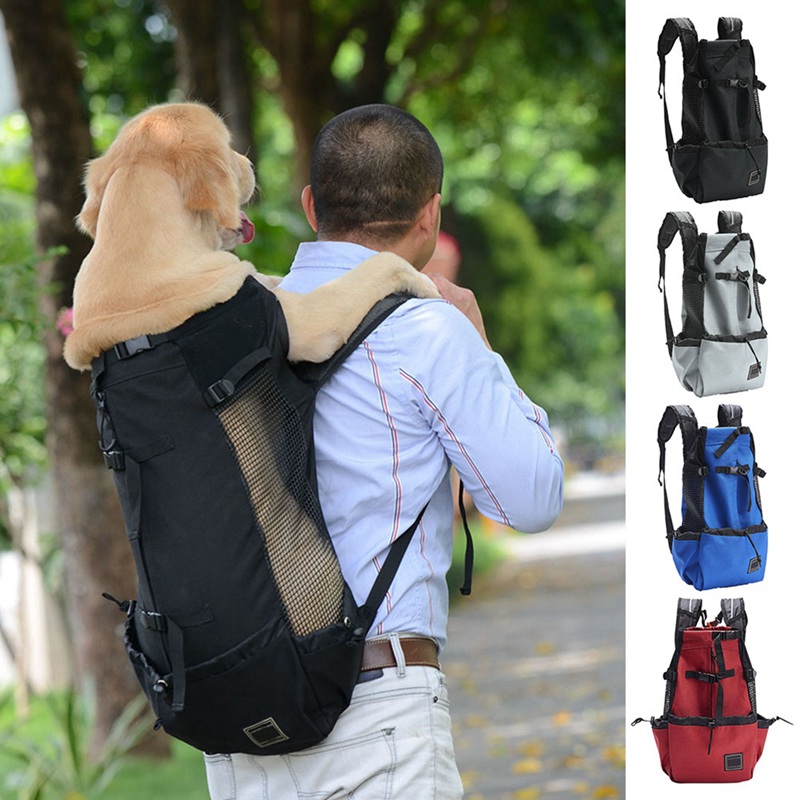 large dog backpack carrier